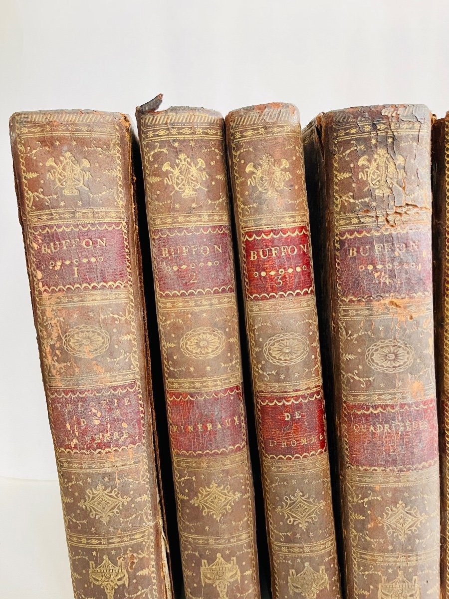 Histoire Naturelle De Buffon En 11 Volumes -photo-6